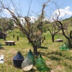 Private Irpinia Wine Tour from Sorrento with sommelier - What We Think About the Value