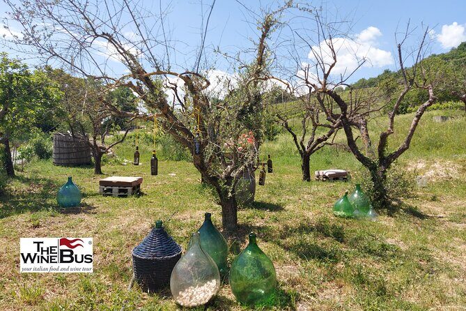 Private Irpinia Wine Tour from Sorrento with sommelier - What We Think About the Value