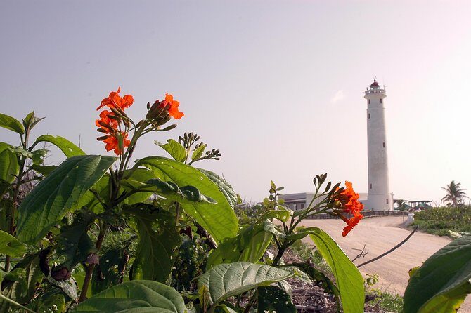 Private Island Tour at Your Leisure - The Sum Up