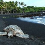 Private Island Tour in Hawaii with Pickup Included - Exploring the Big Island with Your Own Guide
