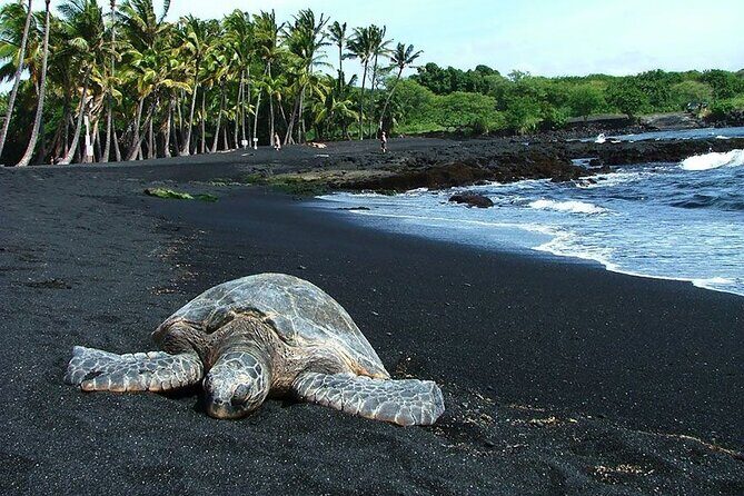 Private Island Tour in Hawaii with Pickup Included - Exploring the Big Island with Your Own Guide