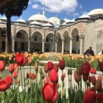 Private Istanbul Old City Walking Tour - The Sum Up