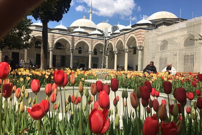 Private Istanbul Old City Walking Tour - The Sum Up