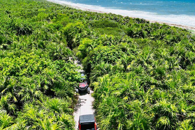 Private Jeep & Polaris RZR: San Gervasio Mayan Ruins & Snorkeling - An In-Depth Look at the Experience