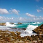 Private Jeep tour to Punta Sur park + snorkel + Lunch - A Closer Look at the Cozumel Jeep Tour Experience