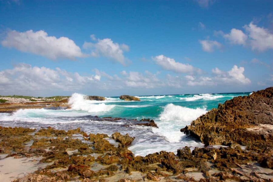 Private Jeep tour to Punta Sur park + snorkel + Lunch - A Closer Look at the Cozumel Jeep Tour Experience