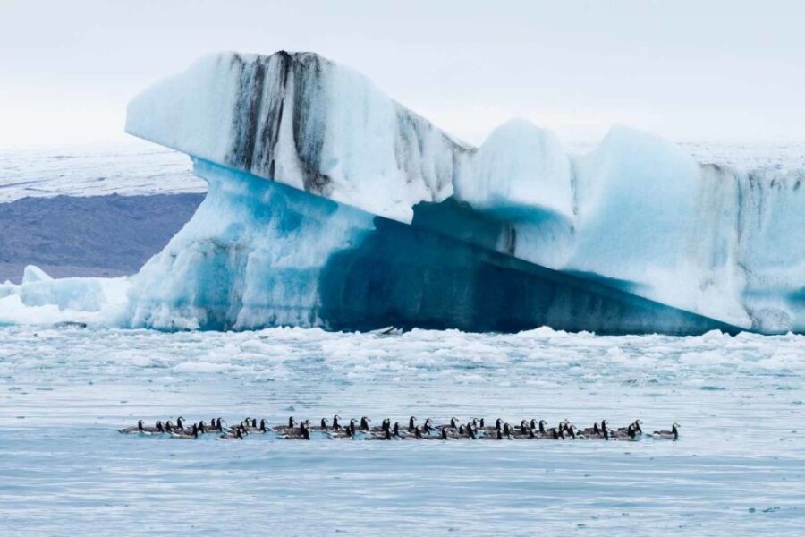 Private Jökulsárlón Glacier Lagoon Tour - Detailed Itinerary Breakdown