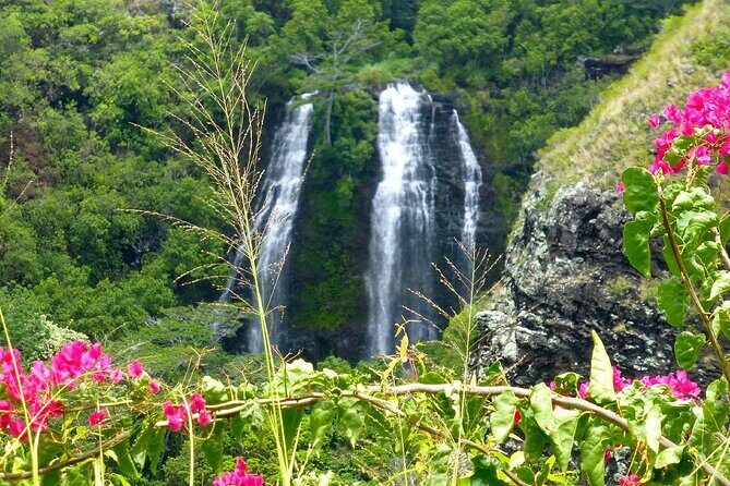 Private Kauai 5-Hour Eastside & Waterfalls Tour - More Detailed Breakdown of the Itinerary