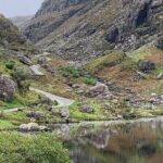 Private Killarney National Park Tour with an accredited chauffeur/guide - The Sum Up