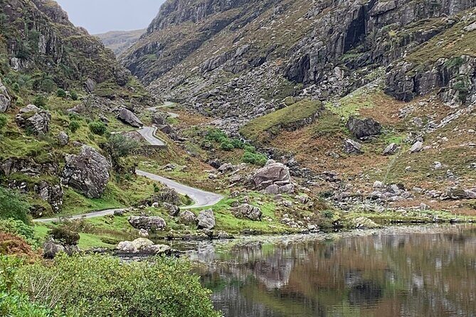 Private Killarney National Park Tour with an accredited chauffeur/guide - The Sum Up