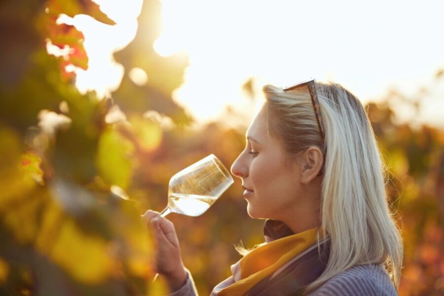 Private Knossos Skip The Line Tour inc. lunch & wine tasting - Exploring Crete’s Culture and History at Knossos