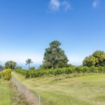 Private Kona Coffee and National Historic Parks Tour - Practical Details: What to Expect