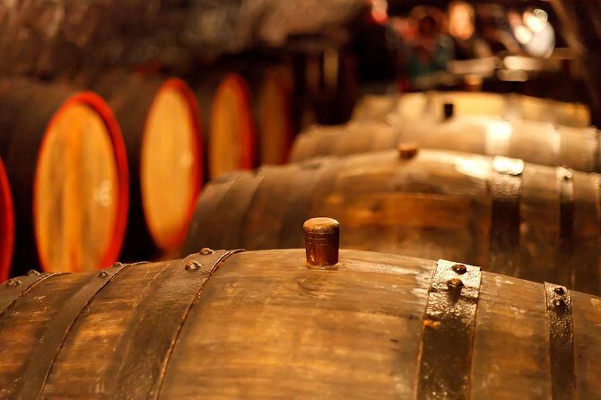 Private Lake Balaton Experience with an unforgettable Wine Tasting - The Experiences Pros and Cons