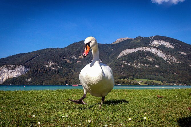 Private Lake District, St. Wolfgang and St. Gilgen Tour - Practical Details and Value