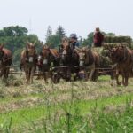 Private Lancaster County Amish Tour from Philadelphia - A Detailed Look at the Lancaster Amish Tour Experience