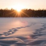 Private Lappish evening in the wilderness with traditional sauna and dinner - The Sum Up