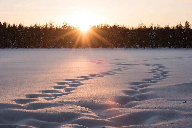 Private Lappish evening in the wilderness with traditional sauna and dinner - The Sum Up