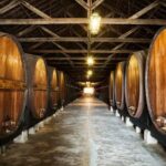 Private Lisbon wine tasting tour in the Setubal region - Transportation & Comfort
