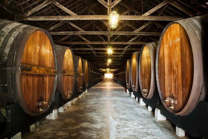 Private Lisbon wine tasting tour in the Setubal region - Transportation & Comfort