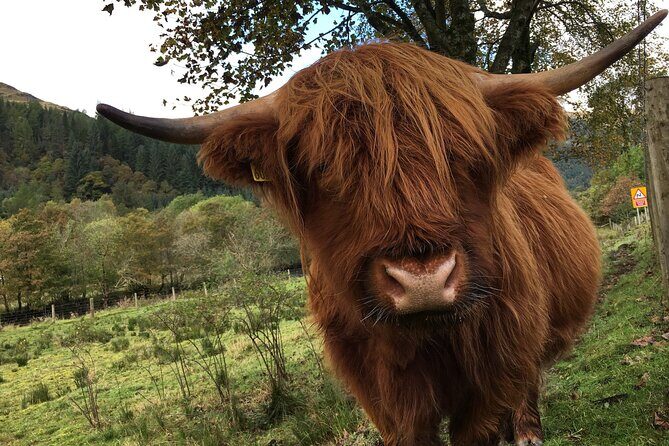 Private Loch Ness & Glencoe Day Trip from Edinburgh - Why This Tour Stands Out