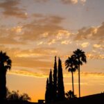 Private Los Angeles Tour by Night - Who Should Consider This Tour?