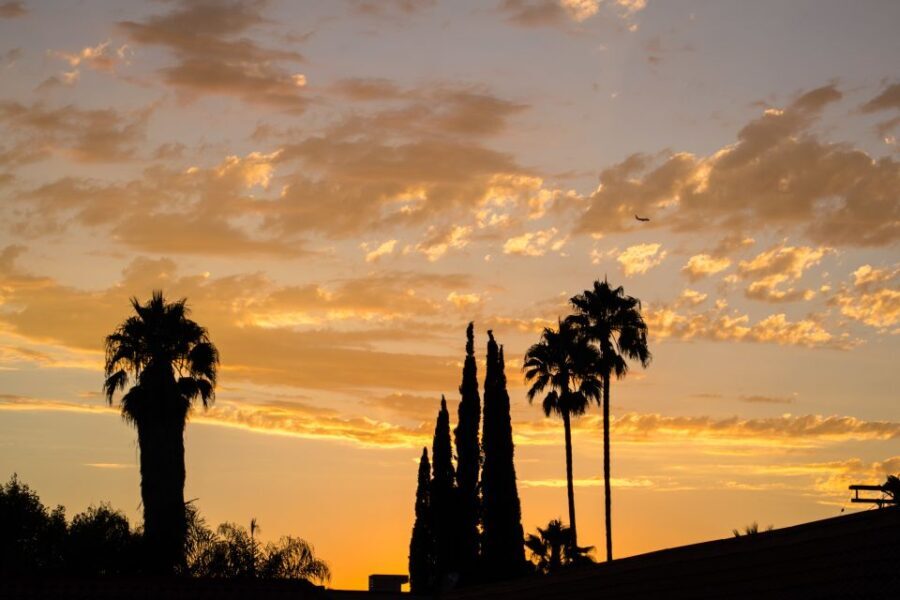 Private Los Angeles Tour by Night - Who Should Consider This Tour?