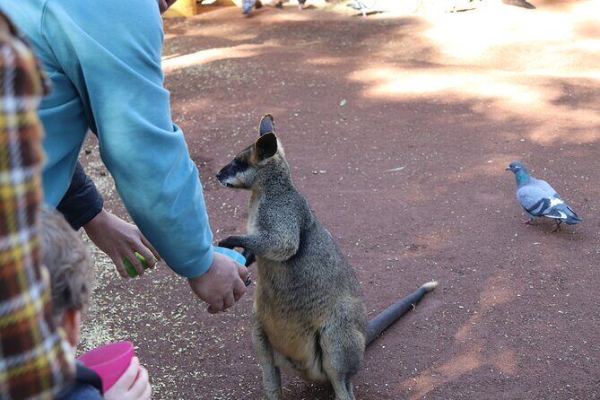 Private Luxury Blue Mountain Tour with Wildlife and River Cruise - Frequently Asked Questions