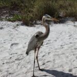 Private Luxury Boat Charter - Itinerary Breakdown: What to Expect