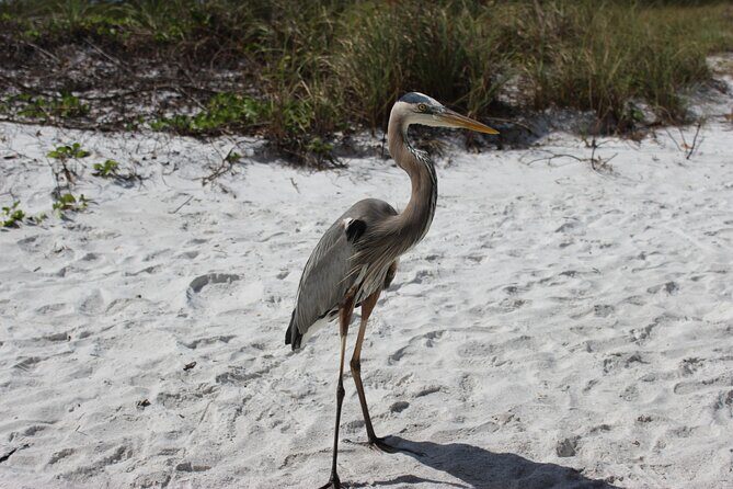 Private Luxury Boat Charter