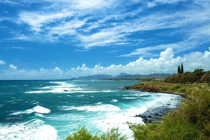Private Luxury Tour of Kauai: North & East Shores - The Ultimate Breakdown: What to Expect from This Kauai Tour