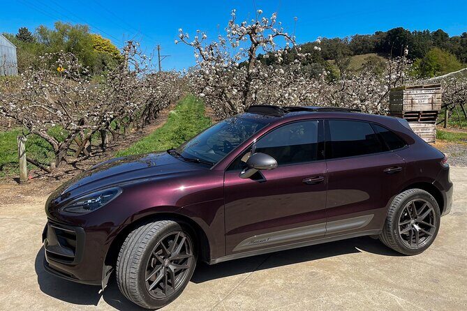 Private Luxury Tour: Penfolds Estate Heritage & Hills Picnic - Exploring the Private Luxury Tour in Detail