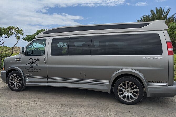 Private Luxury Van with Driver to Big Island Destinations of Your Choice - Who Should Consider This Tour?
