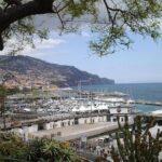 Private Madeira Tour up to 4 people - An in-depth look at the Private Madeira Tour