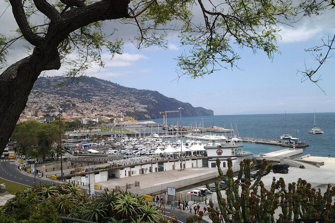Private Madeira Tour up to 4 people - An in-depth look at the Private Madeira Tour