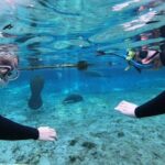Private Manatee Snorkeling Tour - An In-Depth Look at the Manatee Snorkeling Tour in Crystal River