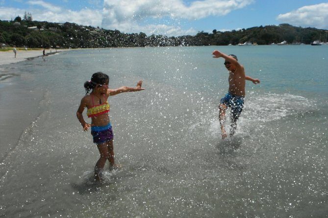 Private Maori Walking Tour with Wine Tasting and Lunch - Who Is This Tour Best For?