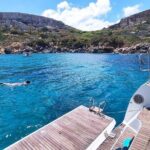 Private Marine Life Spotting - Dolphin watching EcoMarine Malta - Final Thoughts