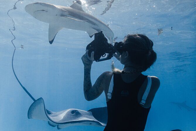 Private Marine Wildlife Adventure with Underwater Photography - Who Should Book This Tour?
