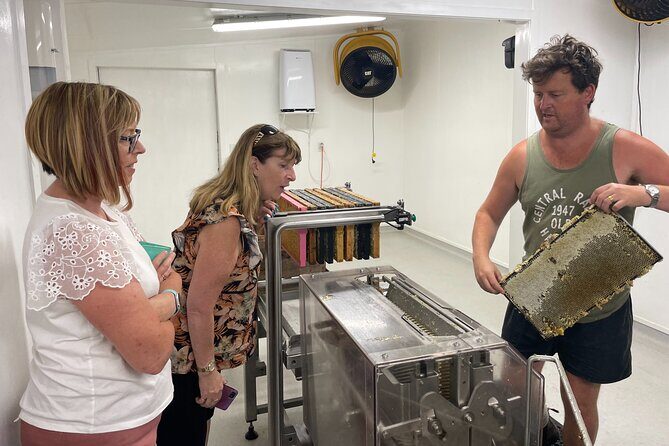 Private Martinborough Foodie Delights Tour from Wellington - An In-Depth Look at the Itinerary