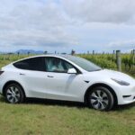 Private Martinborough Wine Tour in an Electric Vehicle - Tesla Model Y - Price and Value: What You Get