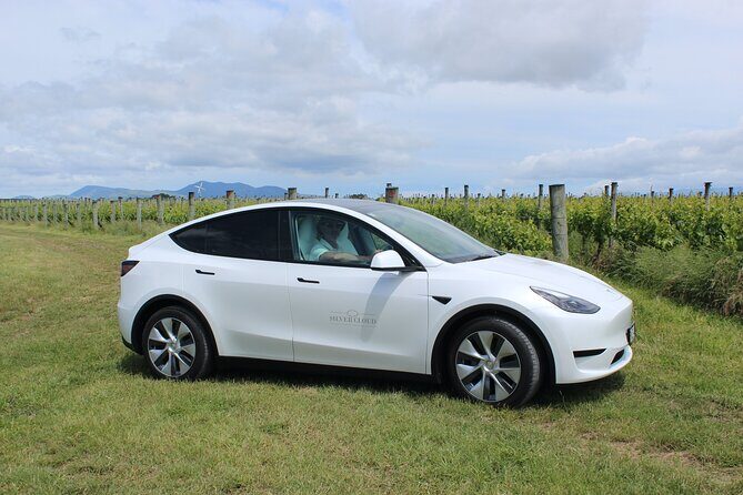 Private Martinborough Wine Tour in an Electric Vehicle - Tesla Model Y - Price and Value: What You Get