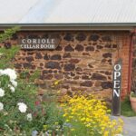 Private McLaren Vale Wine Region Tour from Adelaide - The Ride and the Experience