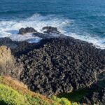 Private Melbourne Tour: Phillip Island and Chocolate Factory - Key Points