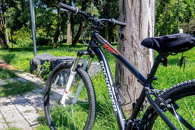 Private Mexico City Biking Tour - Final Thoughts: Who Should Consider This Tour?