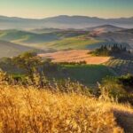 Private Montalcino and Pienza Tour from Siena - Practical Details and What to Expect