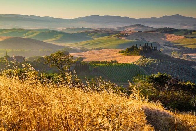 Private Montalcino and Pienza Tour from Siena - Practical Details and What to Expect