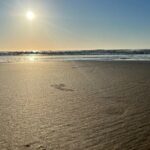 Private Morning Transfer From Noosa to Rainbow Beach - Why This Transfer Offers Good Value