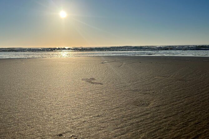 Private Morning Transfer From Noosa to Rainbow Beach - Why This Transfer Offers Good Value