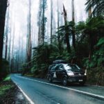 Private Mornington Peninsula Hike and Hot Springs Tour - An In-Depth Look at the Private Mornington Peninsula Tour