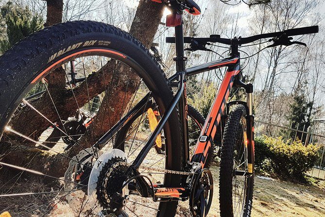 Private Mountain Bike Tour in Vilnius - Exploring Vilnius on Two Wheels: A Complete Review